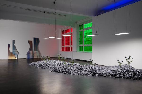 Installation View Anima Atman 2024 Marjorie Brunet Plaza 4 Web