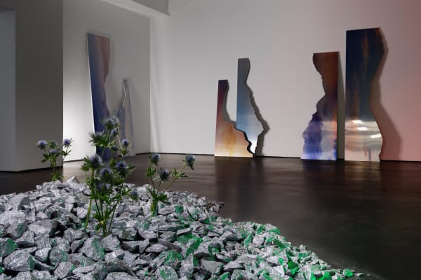 Installation View Anima Atman 2024 Marjorie Brunet Plaza 9 Web