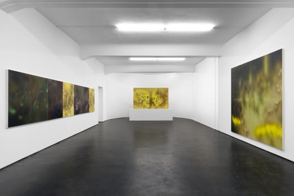 Installation View Valeurs Refuge 2025 Marjorie Brunet Plaza 3 Web Edited