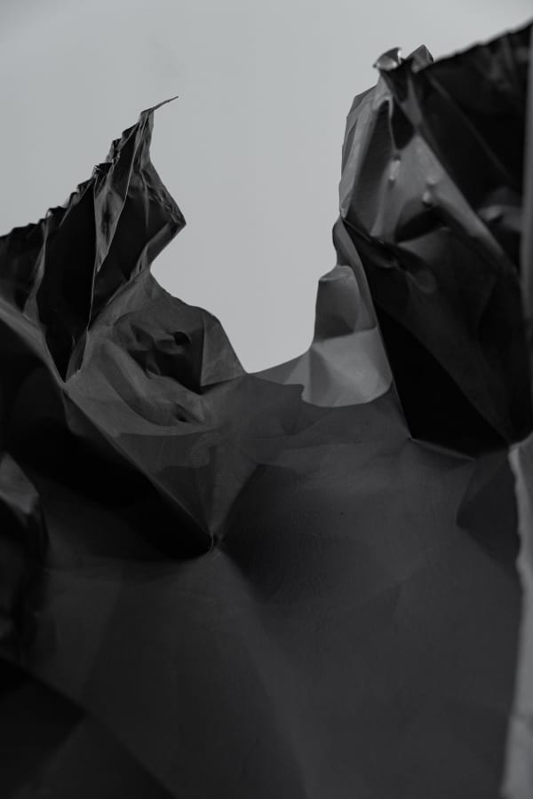 Rosemarie Castoro Black Flasher A 1979 Rca1 Web 10