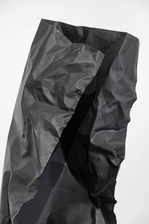 Rosemarie Castoro Black Flasher A 1979 Rca1 Web 2