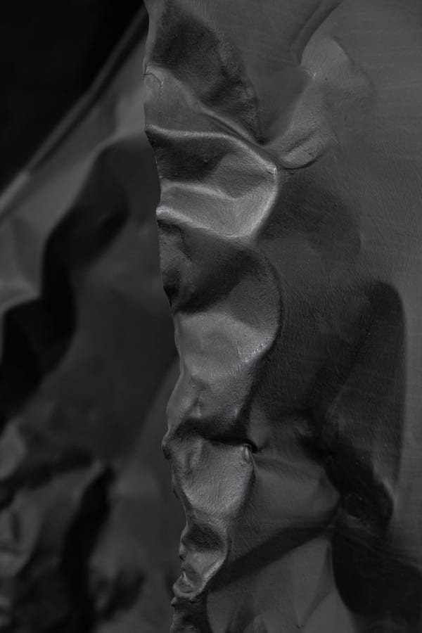 Rosemarie Castoro Black Flasher B 1979 Rca2 Web 6