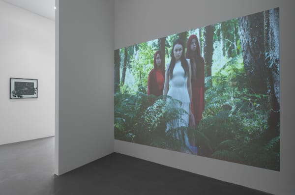 Installation View In A Forest Of Red Green And Blue 2023 Dirk Tacke 5 Web
