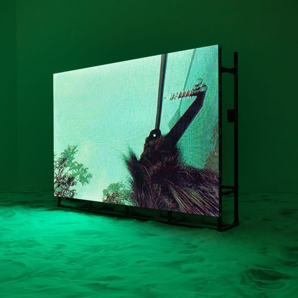 festival | kassel, de