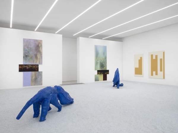 Installation view Mirage, MCBA Lausanne, 2023 | Photo: Julien Gremaud