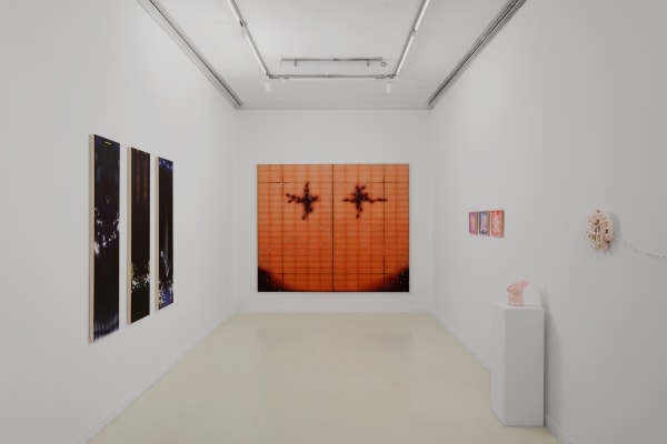 Natacha Donzé, Gathering into order I, 2020, Acrylique sur toile, 220 × 260 cm, Courtoisie de l’artiste et Parliament.