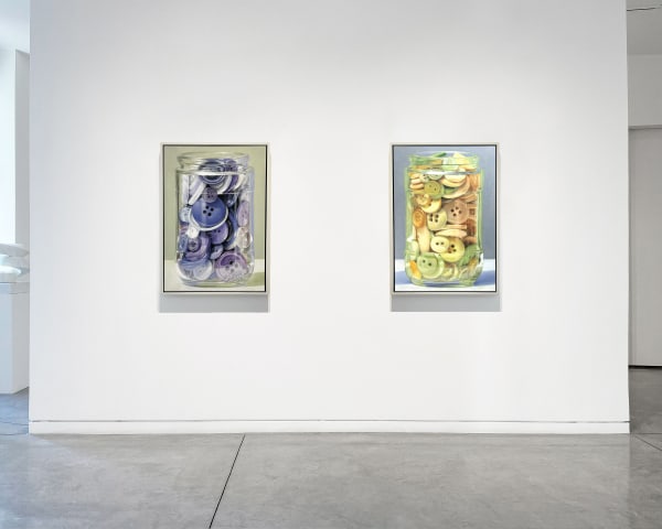 Haynesbuttonsinstall3