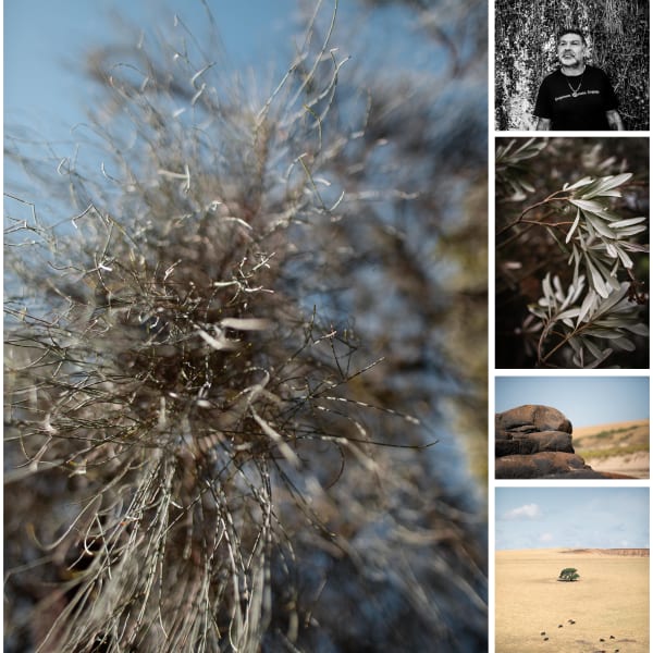 Panel 2 Bread Country 97Cmw