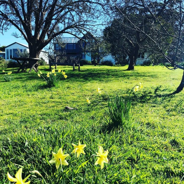 41222073 10155474683272651 7048520195819700224 N