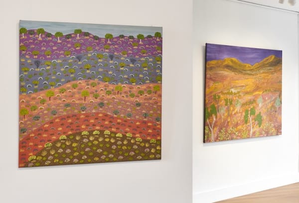 Anaty Anaty Apmer (Heartland) In partnership with Artists of Ampilatwatja