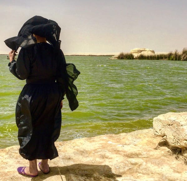 Photo 2019 02 26 10 11 26