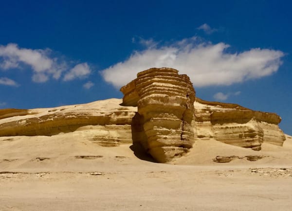 Photo 2019 02 26 10 11 27