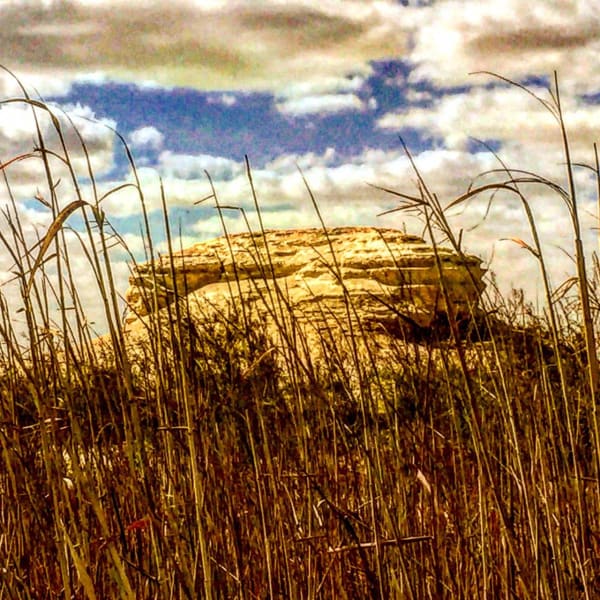 Photo 2019 02 26 10 11 30 1