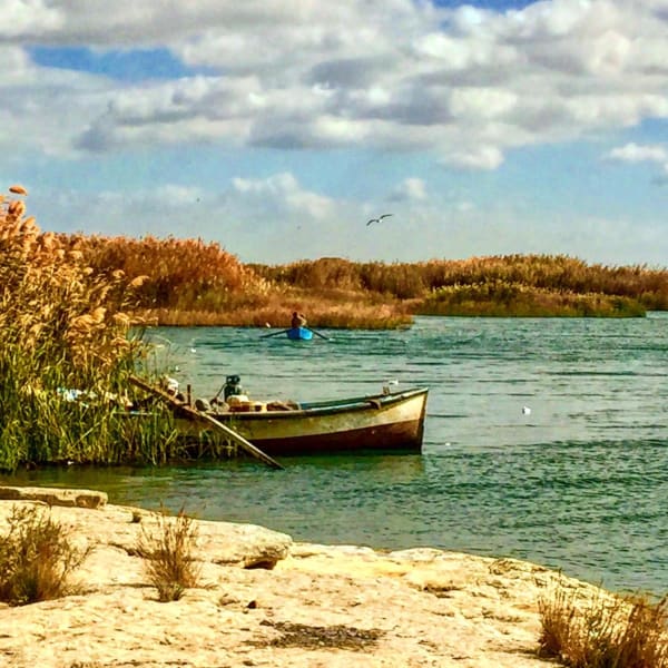 Photo 2019 02 26 10 11 30