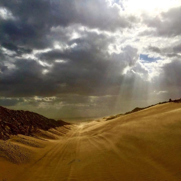 Photo 2019 02 26 10 11 31 1