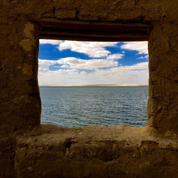 Photo 2019 02 26 10 11 31 2