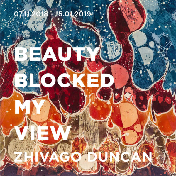 Beauty Blocked My View