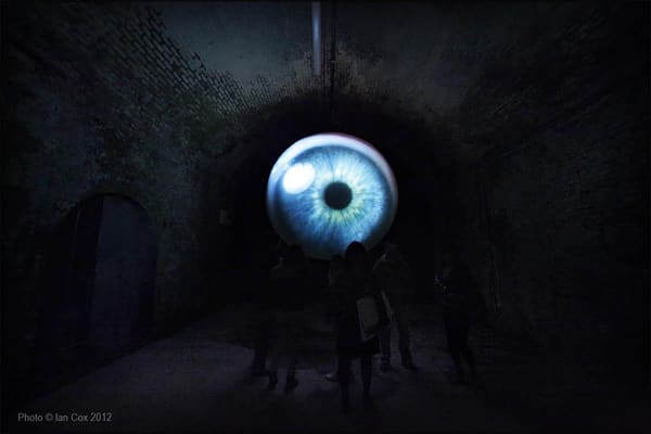 Lidless, 2012 High-definition video recorded via a slit lamp 118 1/10 in diameter 300 cm diameter