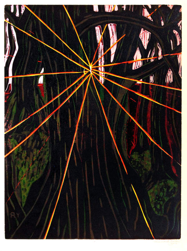 the light by richard york
