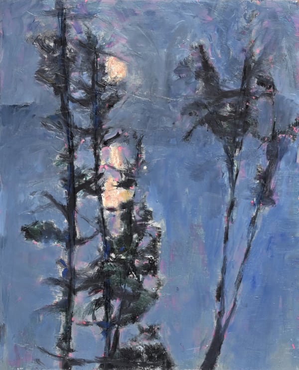 KAREN THOMSON, Moon Echo, 2024-2025