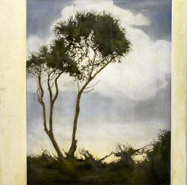 STEPHEN HUTCHINGS Pine Trees, 2021 oil and charcoal on panel 30 x 30 in.
