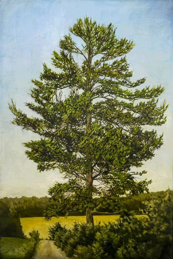STEPHEN HUTCHINGS King's Pine (with Road), 2021 oil and charcoal on canvas 60 x 40 in.