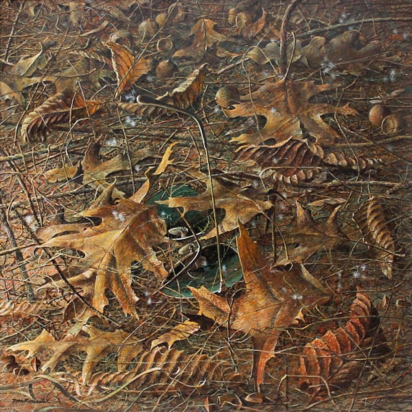 TOM FORRESTALL, Shades Lost in the Leaves, Feb. 2001
