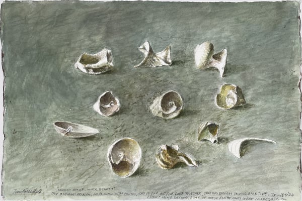TOM FORRESTALL, Broken Shells, Inner Beauty, 16 June 2024