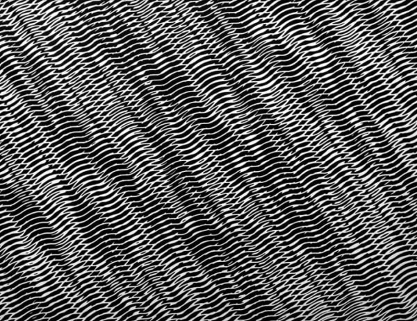 Franco Grignani Combinatoria di strutture ondulate interferenti, 1956