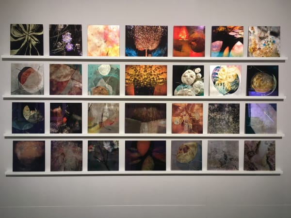 MMX GALLERY , BOOTH D20, PHOTO LONDON 2019 Valda Bailey - Set of 28 Glass Prints, 2019