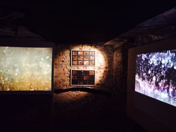 Karel Doing, Film screening and unique negatives, basement installation at MMX Gallery