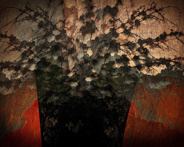 Valda Bailey, Tuscan Sundowner, 2019