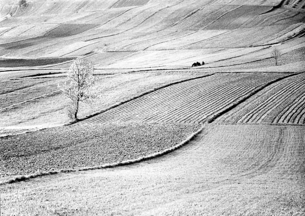 Michal Cala, Polish Photography, Idyllic black and white painting like image of the landscape of the countryside, fields in pale white and grey shades, vintage print