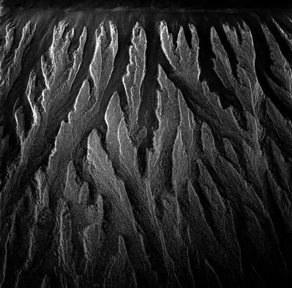 Michael Jackson, Poppit Sands #15, 2011-2014