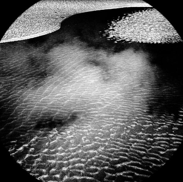 Michael Jackson, Poppit Sands #8, 2011-2014