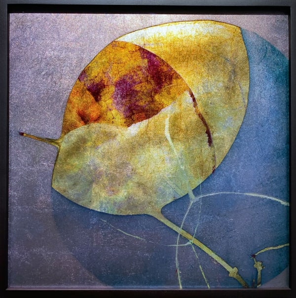 Valda Bailey, Truth, 2019