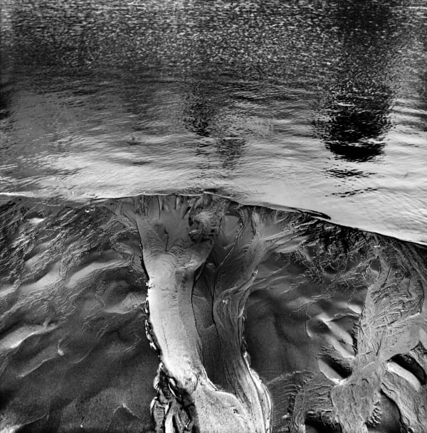 Michael Jackson, Poppit Sands #3, 2011-2014