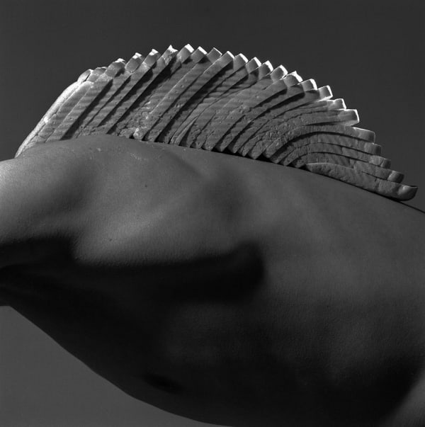 Brian Griffin, Sliced Bread (Mother's Pride), 1986