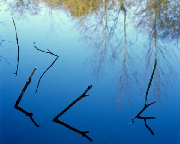 MIKE COLECHIN Graphica Ricercata