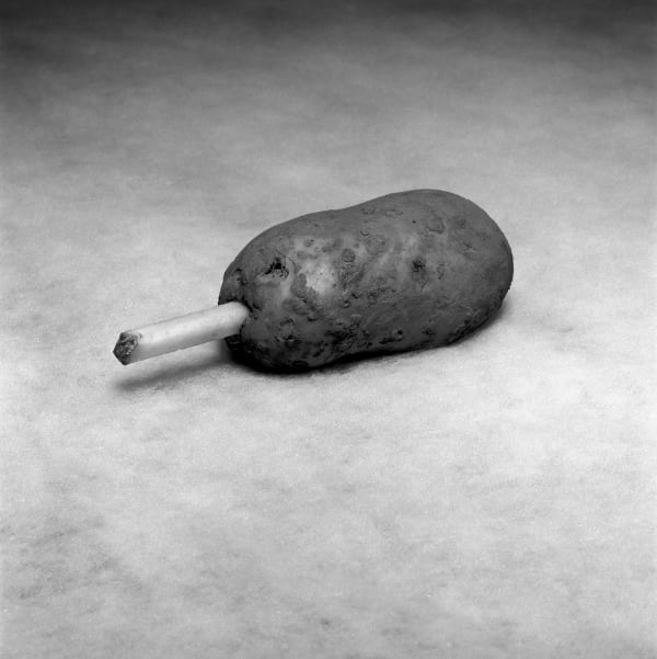 Brian Griffin: SPUD!
