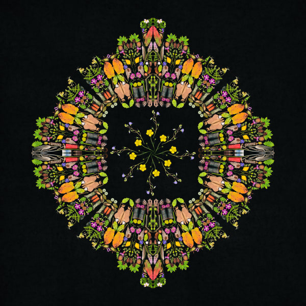 George McLeod: DETRITUS - COLLECTING MOMENTS