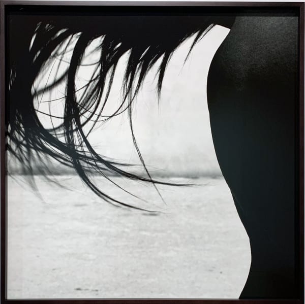 John Reardon, Xaar, ‘Tail’, 2001, Silver Gelatin Print, Mounted on Aluminium, Custom framed, UV protective Museum AR Glass 76 x 76cm, Edition of 5, MMX Gallery, Black and white abstract image of horse tail flicking, stallion