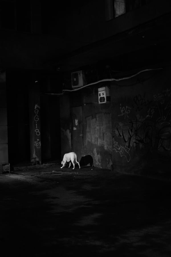 Untitled 2018 Hahnem Hle Photo Rag Satin 30 X 45 Cm Jpg Jpg0