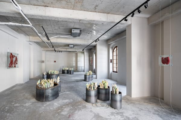 Photo credit: Cătălin Georgescu