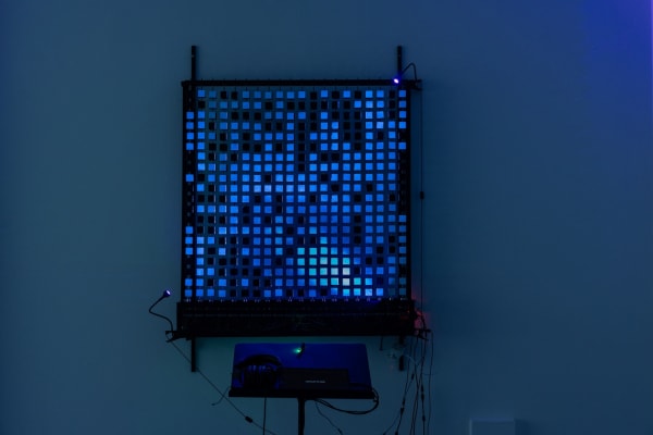 Gcc7977