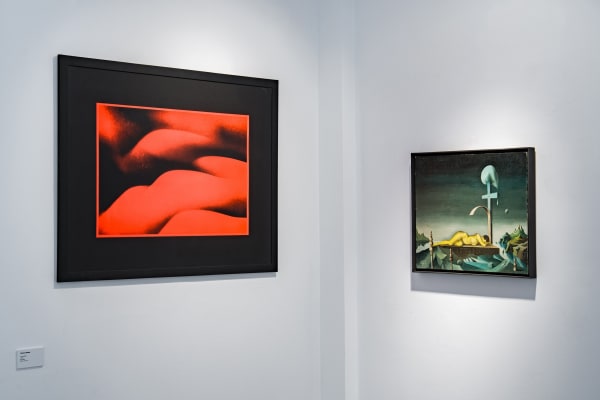 Photo credit: Cătălin Georgescu