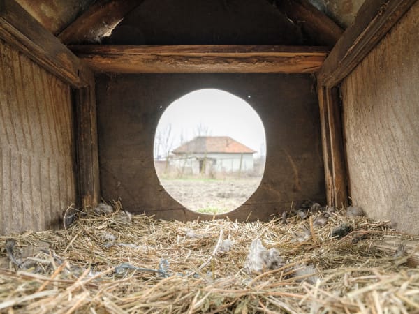 Bogdan Gîrbovan - KIRITSUKE_2024, produced in 2024