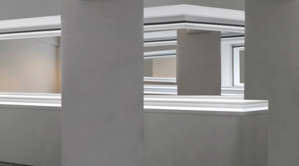 The New Nature Claudia Larcher