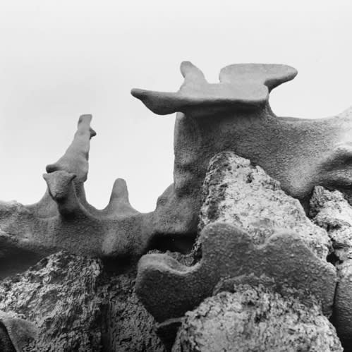 Picture Scores | Adam Michael Terry