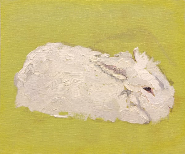 Mollie Douthit Dandelion poof Oil on canvas panel 20 x 25 cm